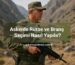 Askerde Rütbe ve Branş Seçimi Nasıl Yapılır?