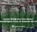 Acemi Birliği Kaç Gün Sürer Usta Birliğine Geçiş ve Askerde Bir Gün