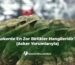 Askerde En Zor Birlikler Hangileridir (Asker Yorumlarıyla)